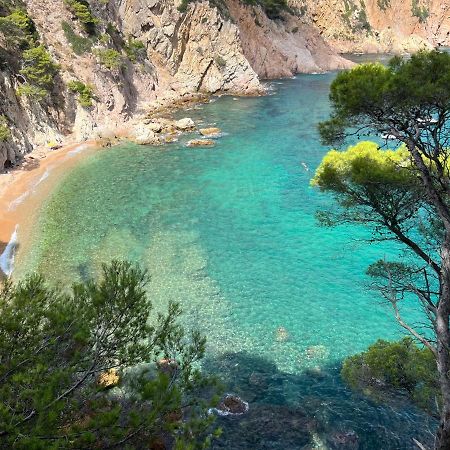 Zen Apartment Sea Views Tossa de Mar Bagian luar foto